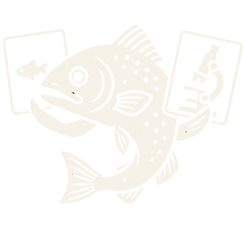 Illustrasjon av fisk med kort